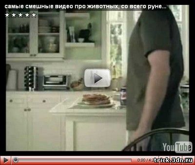 Самые смешные видео про животных, со всего рунета!!!